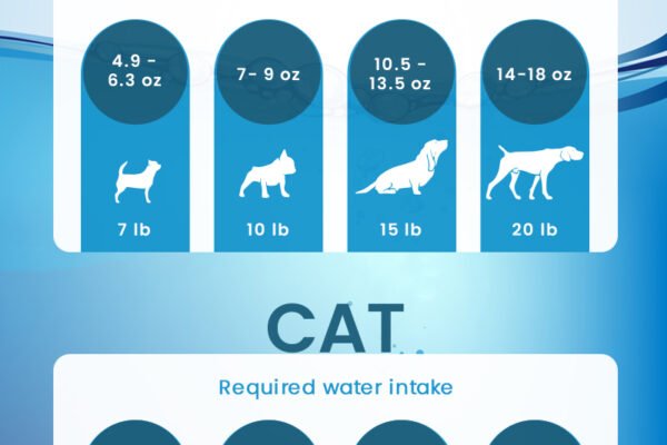 How Much Water Pets Need Daily