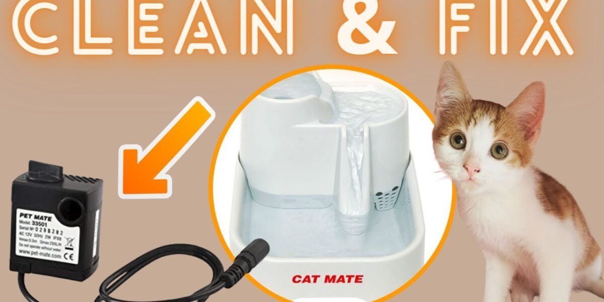 Pet Fountain Pump Troubleshooting