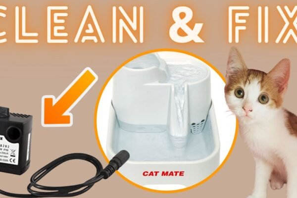 Pet Fountain Pump Troubleshooting